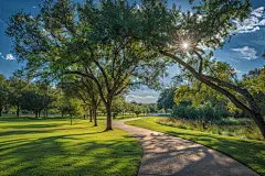 乡村公园步道高清摄影图