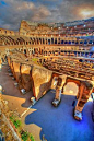 colosseum rome, italy