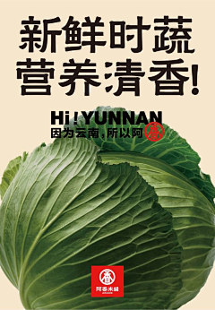 快樂的飛行員采集到特写/质感/食物海报