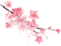 古风唯美水彩手绘粉色桃花树花朵花瓣花枝PNG免扣透明设计素材