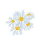 0aef1dd635be76c919a020e23ef78bc02f37ceb61c77cd-0ywK7T