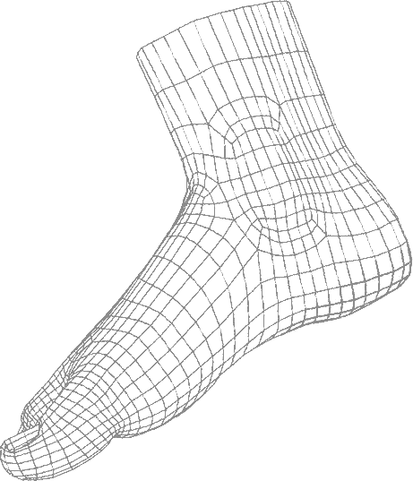 脚 模型 (2)