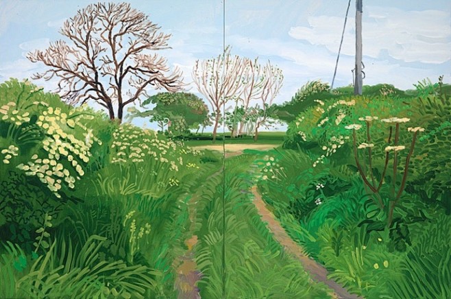 大卫·霍克尼(David Hockney...