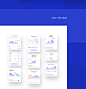 Chart Only Collection UI UX