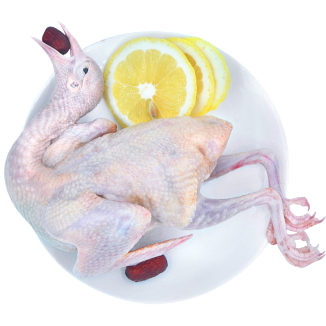 老杜崇明老鸽乳鸽400g*3 肉鸽子新鲜...