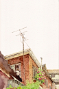 p_large_olDH_25780001de272d13