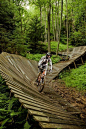 Timeline Photos - Landscape Architects Network | Facebook