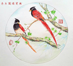 cchart采集到圆珠笔画