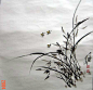 【国画 —— 兰花】