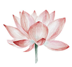 糖小瑶采集到freehand