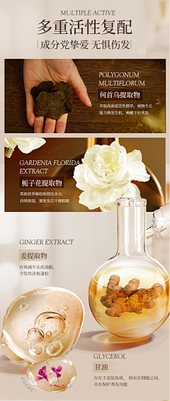 AngelFour采集到生物、细胞