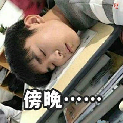 ♡北野♡采集到呆