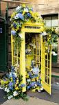 Rose Street Garden

Inspired by the release of Bombay Sapphire’s Citron Pressé gin, we used a mixture of zesty yellows, Mediterranean blues and artificial lemons for Rose Street Garden’s summer refresh.

These energising pops of colour contrasted perfectl