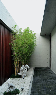 别墅花园设计师采集到新中式