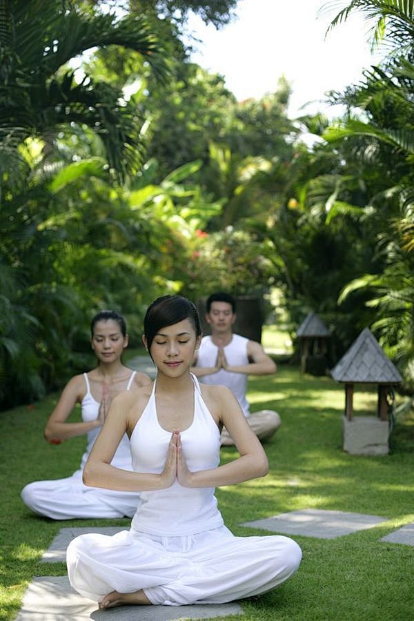 植物 白色 瑜伽 瑜伽健身-运动休闲-运...