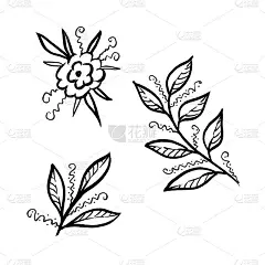 集热带植物花卉和离开。孤立的插画元素。线艺术手绘野花在白色背景