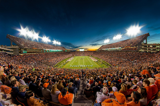 Photograph War Eagle...