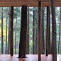 两者之间-日本扁柏杉木展馆 / x-studio – mooool木藕设计网