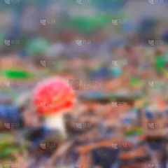 鹅膏菌,蘑菇,运动模糊,无人,户外,书页,光,图像,光圈,现代