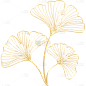 立秋通用金边白描风银杏叶植物贴纸元素素材