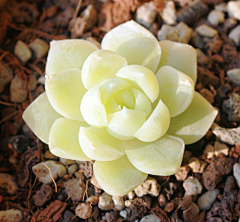 三川三采集到R 生活画板