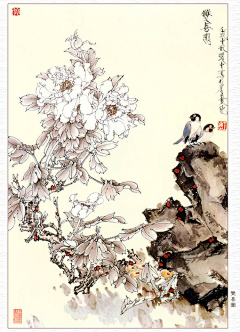 玉岭花采集到工笔