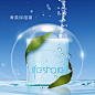 海藻是我的更是你的