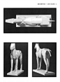 【图片】Animal Anatomy For Artists 动物艺用解剖学 扫描版（一）1-50页【动物绘画吧】_百度贴吧