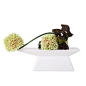 #创意##家居##家具##饰品摆件##花艺##整体花艺##BDHOME##BDHOME.HK##一家售卖大牌代工厂制造的家居站##O2O模式运营##创意#
#所见即所得！# @北坤人素材
