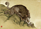 狸力-刘力文《山海兽》插画
狸力（li li） 柜山上的畏兽，样子像猪，四肢却长出了爪子，带有锯齿，力善于挖土。