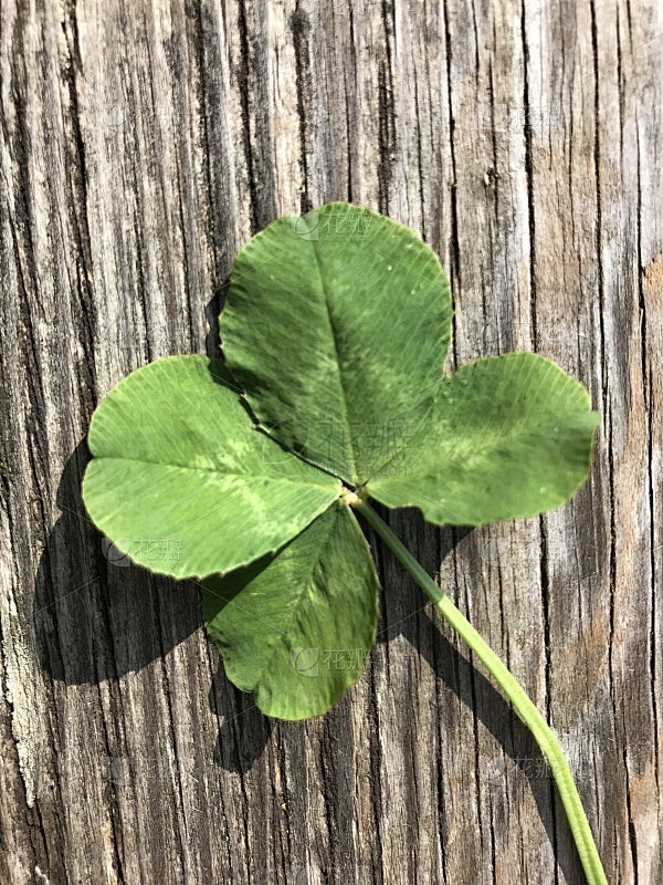 Irish Shamrock Kleeblatt Ohrstecker Aus 10 Karat Gold Mit Malachit – Handgefertigt In Irland