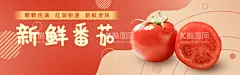 新鲜番茄  - 源文件下载【酷图网】小番茄,圣女果,新鲜小番茄,小西红柿,樱桃西红柿,樱桃番茄,小柿子,圣女果熟了,圣女果上市了,圣女果采摘,新鲜圣女果,超市圣女果,水果店圣女果,圣女果海报,圣女果展板,圣女果批发,圣女果展架,小番茄熟了,小番茄上市,小番茄采摘,超市小番茄,水果店小番茄,小番茄海报,小番茄展板,