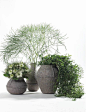serax-floral-design-13: