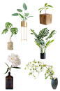 花卉绿植免抠元素