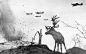 1941年，二战飞机轰炸俄罗斯时受惊吓的驯鹿