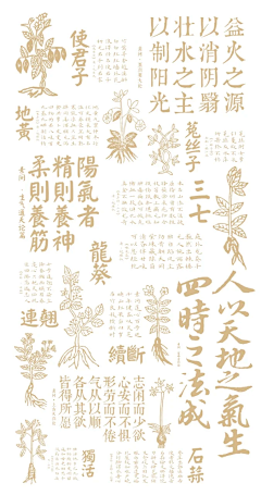 在那个地方呀采集到材料