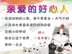 流浪猫狗海报 【酷图网】流浪猫,流浪狗,海报,动物,展板,好人