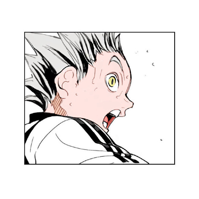 闪闪发光的元气王牌木兔光太郎67676767