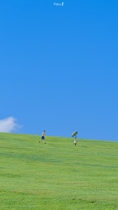 carhappygo采集到背景