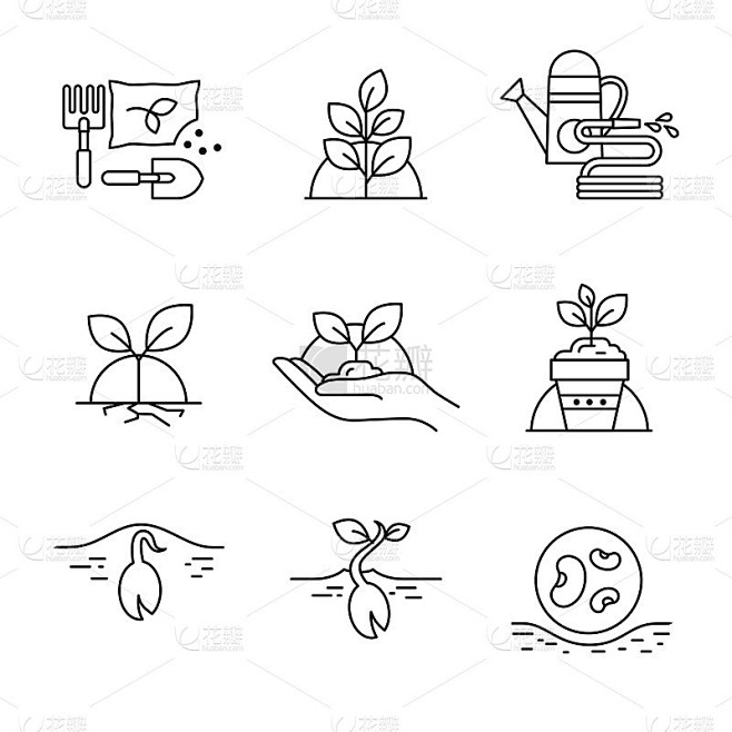 发芽种子和家庭园艺
