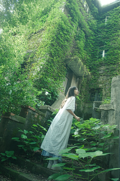 菜鸡炖蘑菇采集到景