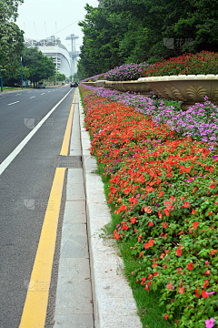 3kCP4S8G采集到道路绿化