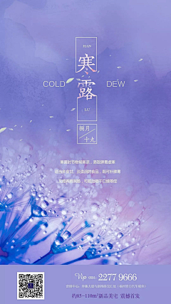 我是糖糖老师吖💛采集到节气海报
