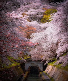 홍동운采集到风景（摄影）