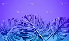 奇异的热带叶子与怪物在梯度背景。