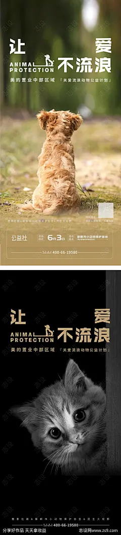 流浪狗公益海报-源文件-志设网-zs9.com