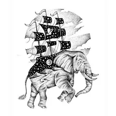 Thiago Bianchini 简约可爱的手绘插画 黑白插画 黑白 萌 涂鸦 极简主义 手绘 可爱 动物插画 动物 