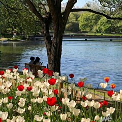 聊天錶情包的照片 - 微相册