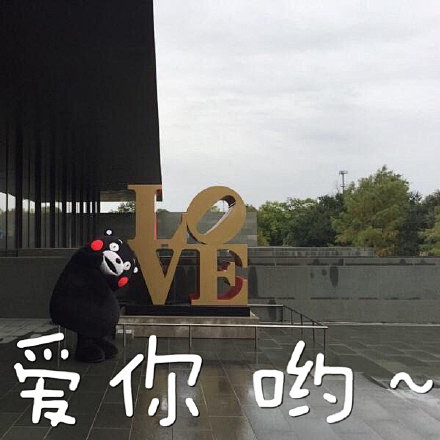 熊本熊表情包