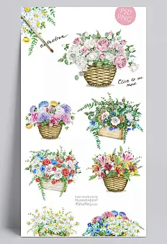 花篮鲜花花卡图片|白色,传统对称,古典,贺卡,花边,花草,花草背景,花纹,自行车